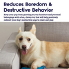 Petstages Orka Bone chew Toy for Dogs