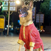 Dogobow Georgette Embroidered Kurta for Dogs and Cats (Red) Both-Clothing & Accessories Dogobow Dropship XS