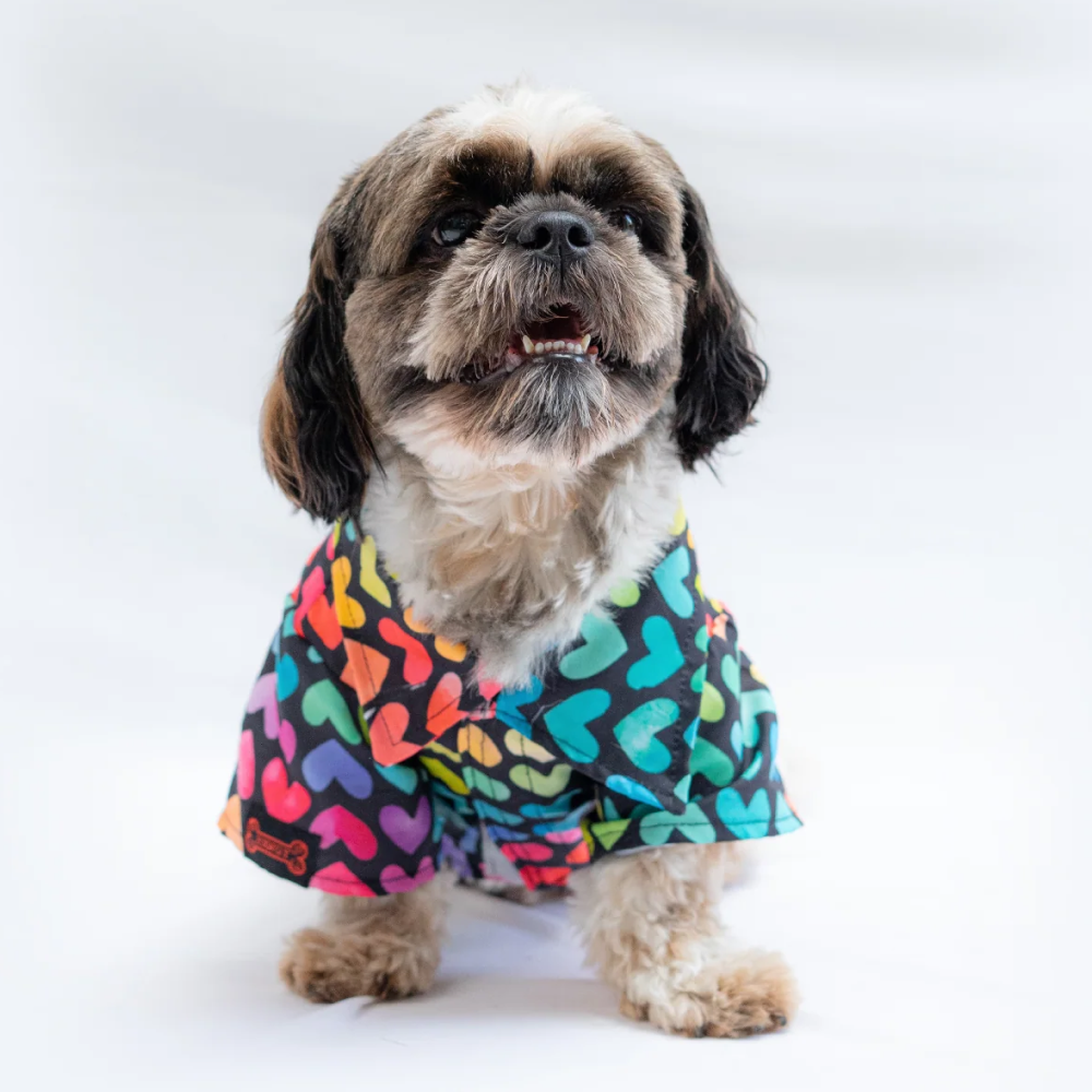 Pawgypets Multi Heart Casual Shirt for Dogs and Cats
