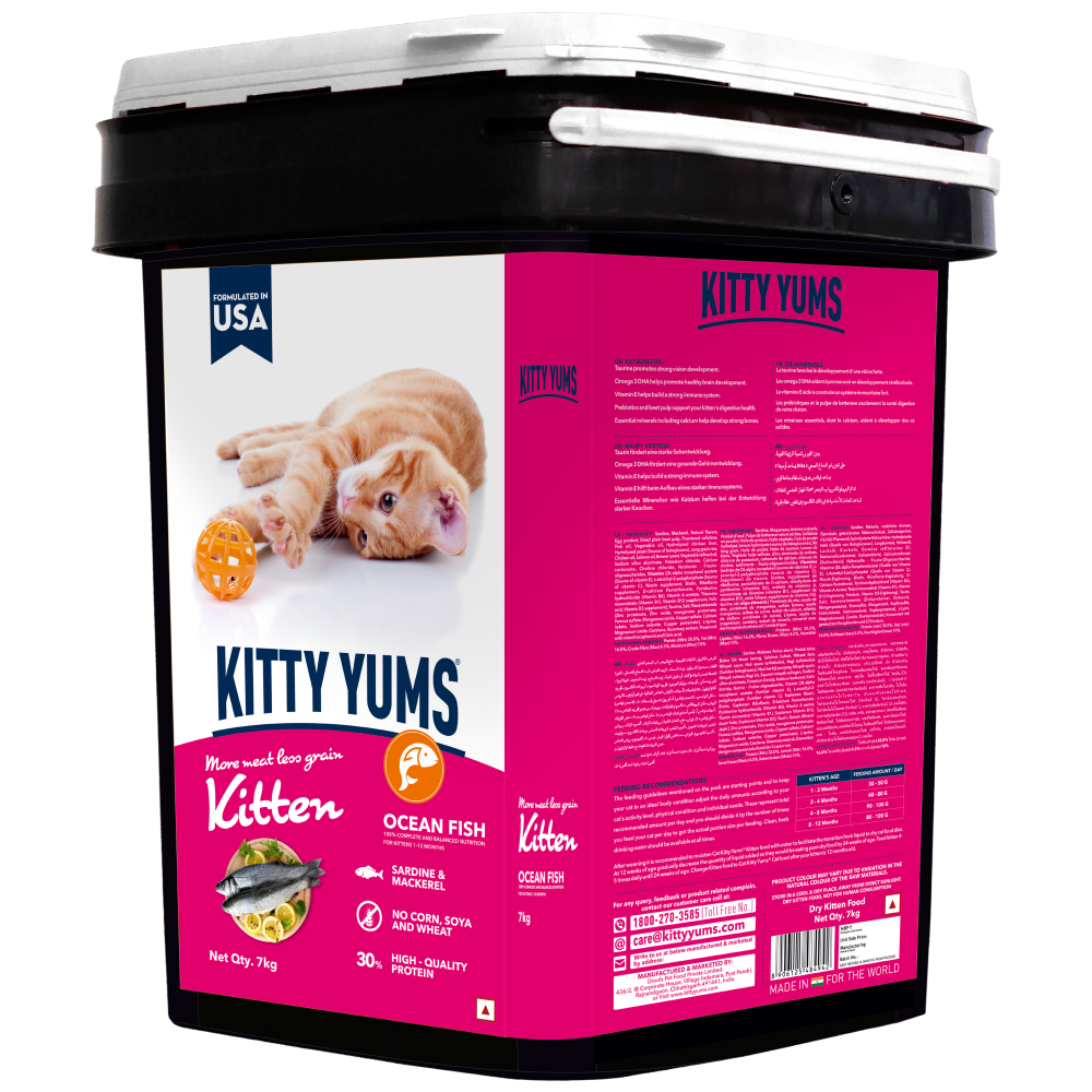 Kitty Yums Ocean Fish Kitten (1 to 12 Months) Cat Dry Food Cats- Dry food Kitty Yums