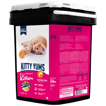 Kitty Yums Ocean Fish Kitten (1 to 12 Months) Cat Dry Food