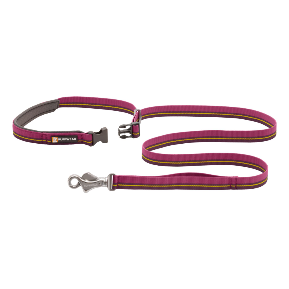 Ruffwear Flat Out Leash for Dogs (Wildflower Horizon)