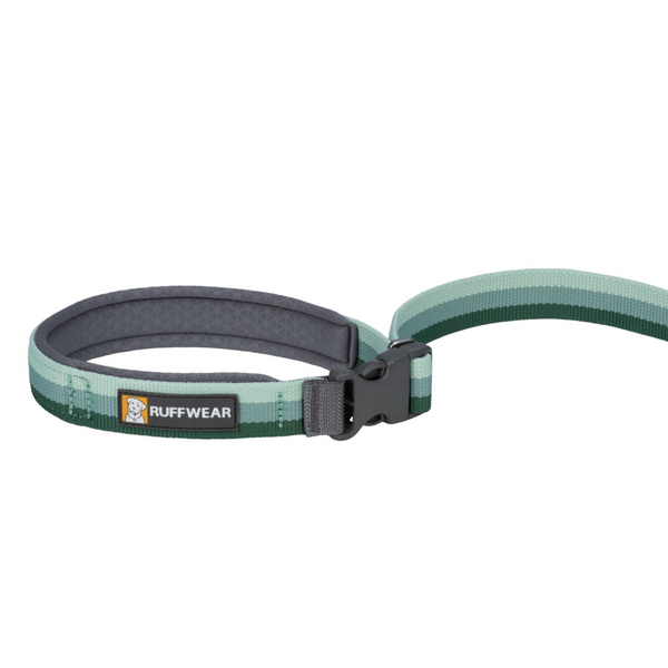 Ruffwear Roamer Bungee Leash for Dogs (River Rock)
