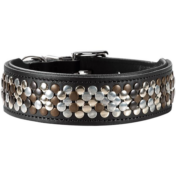 Hunter Arizona UP Collar for Dogs (Black)
