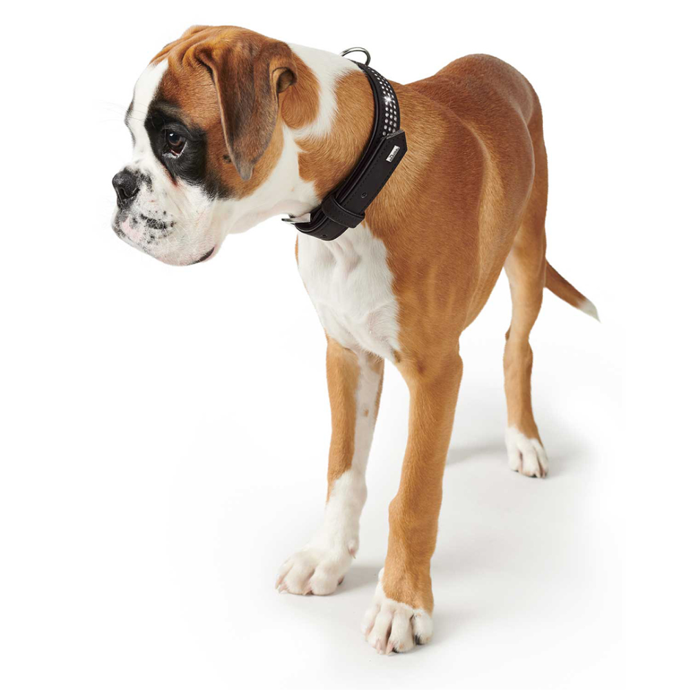 Buy Hunter Softie Triluxe collar for Dogs black Supertails