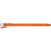 Hunter Cannes Collar for Dogs (Orange)