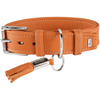 Hunter Cannes Collar for Dogs (Orange)