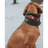 Hunter Magic Star Collar for Dogs (Red)