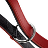 Hunter Love Training Leash for Dogs (Red) Dogs-Collar, Leashes, harnesses Hunter Dropship