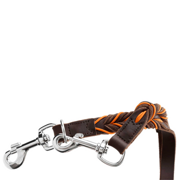 Hunter Solid Education Training Leash for Dogs (Dark Brown)