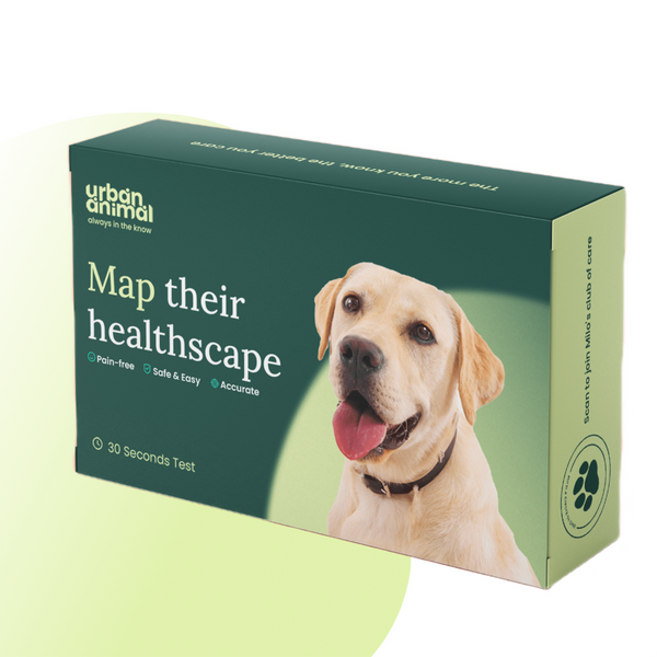Urban Animal DNA Test Kit for Genetic Disease Mapping for Dogs