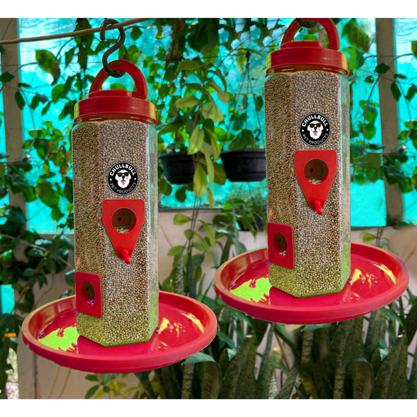 Chullbull Balcony Grill Food Feeder for Birds (Red)