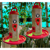 Chullbull Balcony Grill Food Feeder for Birds (Red)