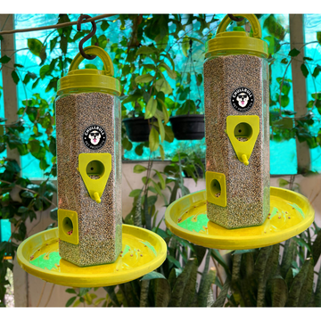 Chullbull Balcony Grill Food Feeder for Birds (Yellow)