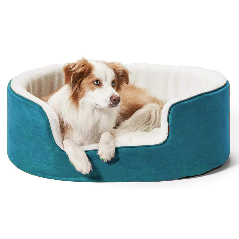 Fluffy's Petslover Warm Fleece Winter Round Shape Reversible Ultra Soft Bed with Cushion Pillow for Dogs and Cats (Sky Blue) Both-Bedding, Mats & Travel Supplies Fluffy's M