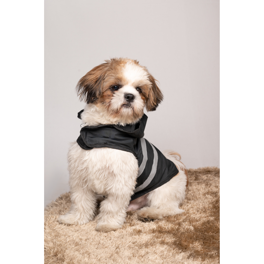 Petsnugs Reflective Waterproof Raincoat for Dogs and Cats (Black)