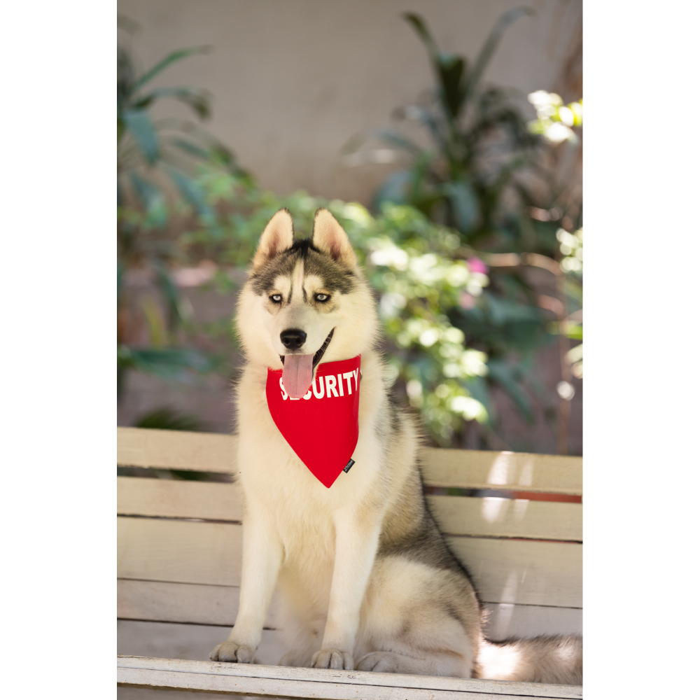 Petsnugs Security Bandana for Dogs and Cats (Bright Red)