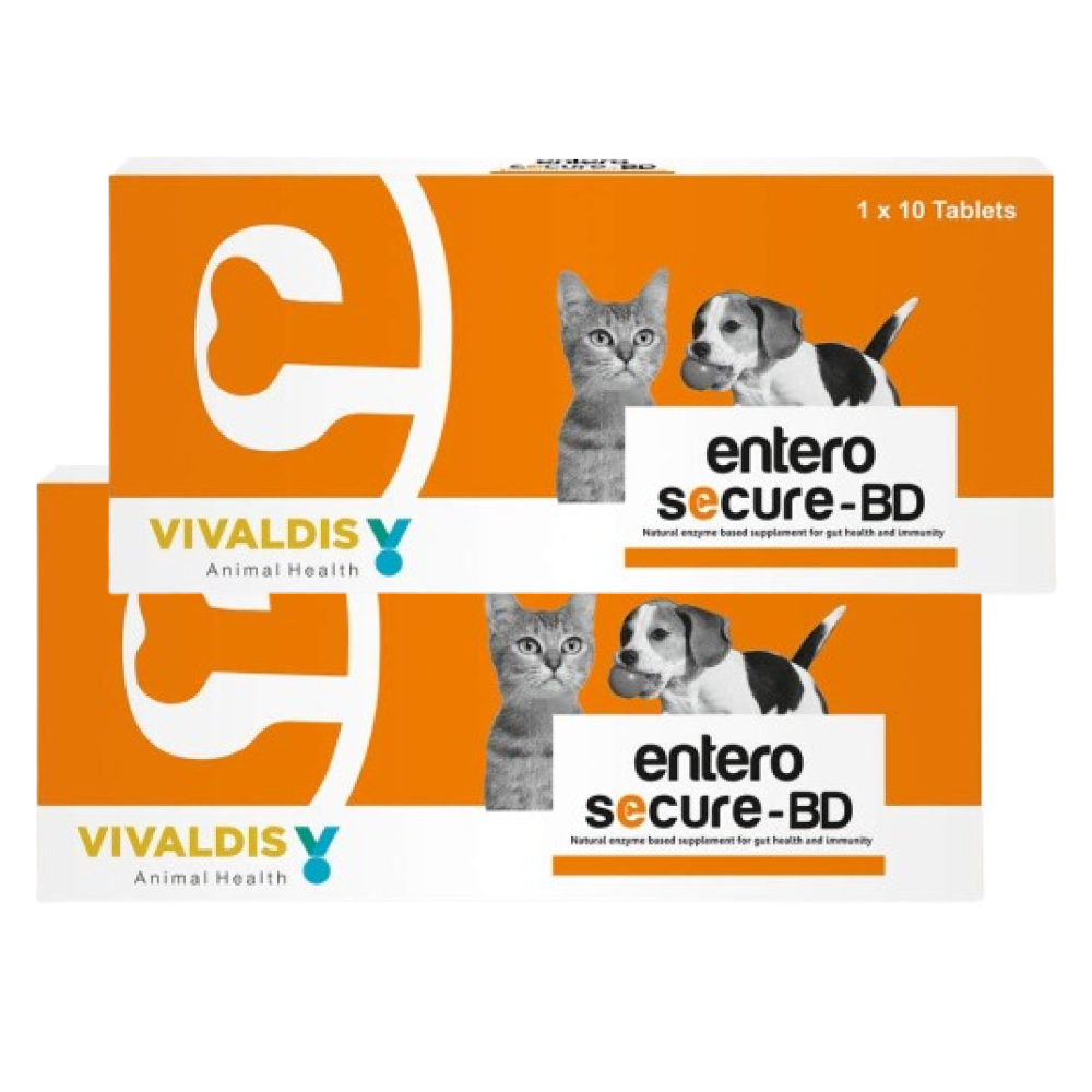 Vivaldis Entero Secure  BD Tablet for Dogs and Cats