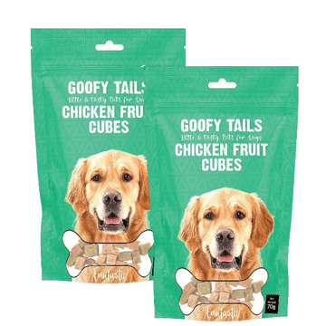 Goofy Tails Chicken Fruit Cube Dog Treats