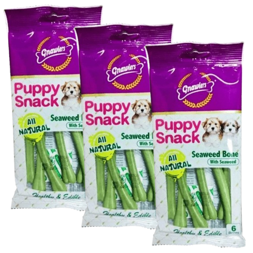 Gnawlers Puppy Snack Seaweed Bone Dog Treats