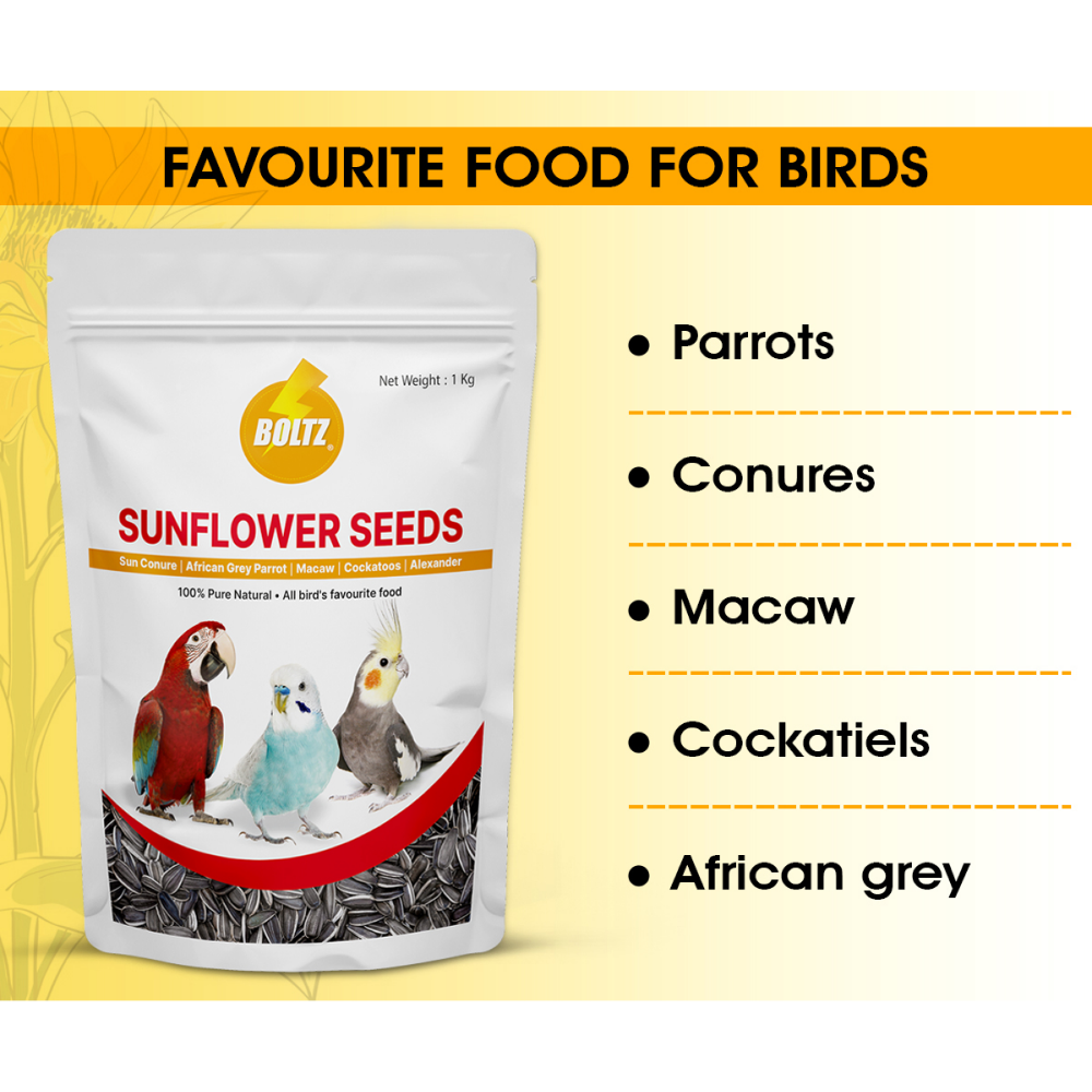 Boltz Striped Sunflower Seeds Bird Food