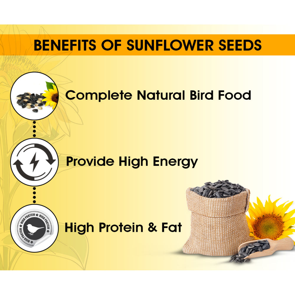 Boltz Striped Sunflower Seeds Bird Food