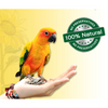 Boltz Striped Sunflower Seeds Bird Food (Limited Shelf Life) (Buy 1 Get 1) Birds Boltz