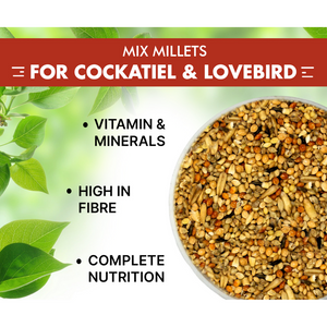 Boltz Mixed Seeds Adult Bird Food for Cockatiel and Lovebirds