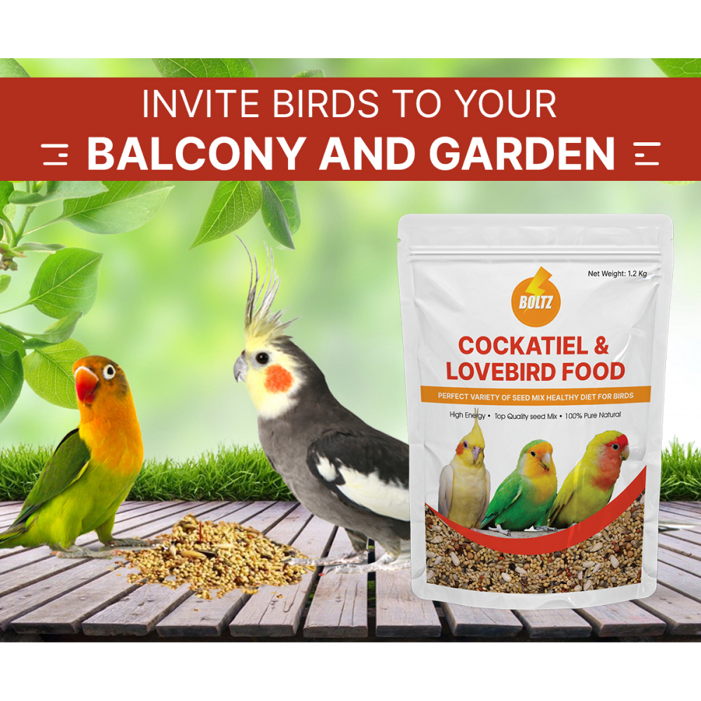 Boltz Mixed Seeds Adult Bird Food for Cockatiel and Lovebirds