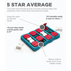 Outward Hound Nina Ottosson Brick Game for Dogs (Blue Level 2 Intermediate) | For Medium Chewers