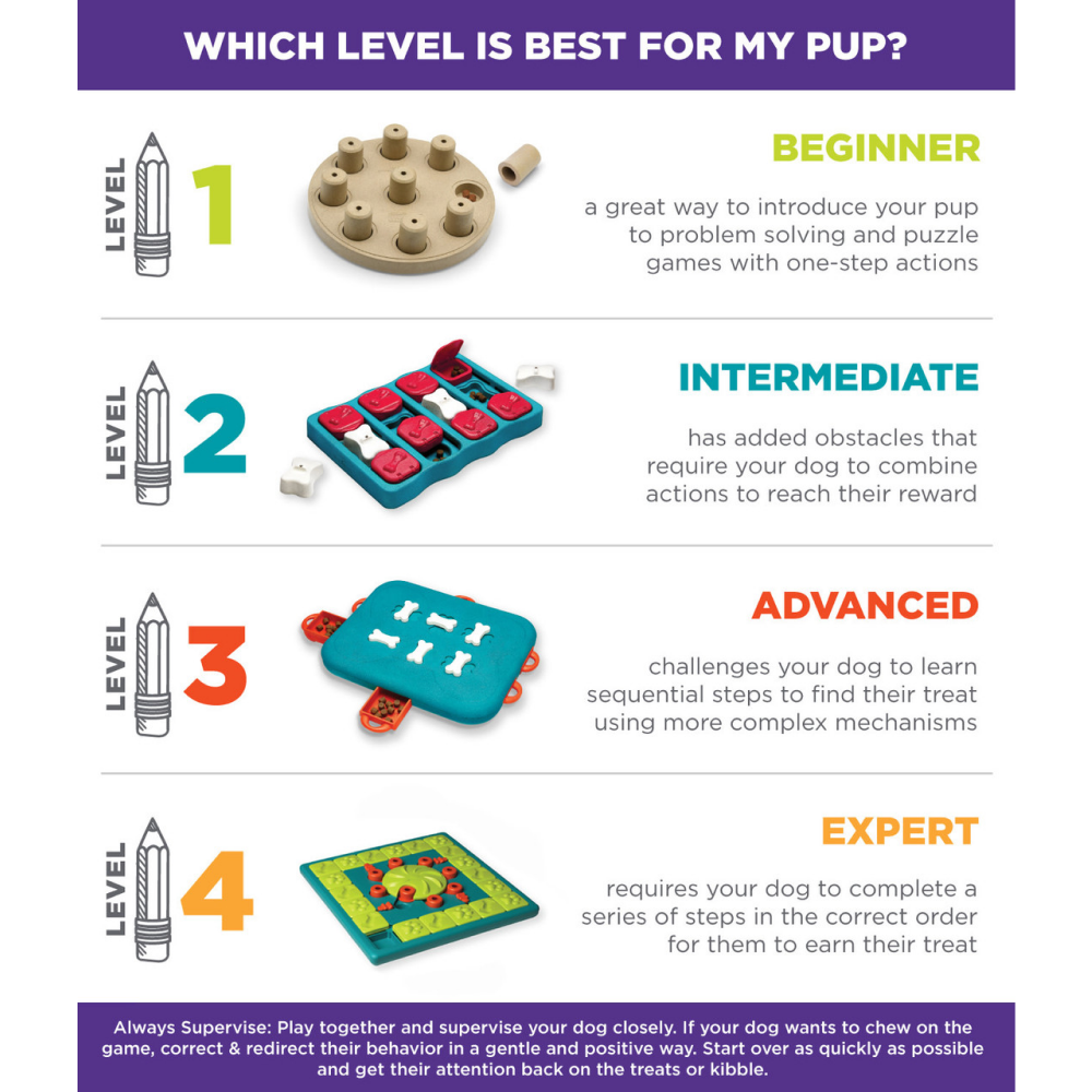 Outward Hound Nina Ottosson Brick Game for Dogs (Blue Level 2 Intermediate) | For Medium Chewers