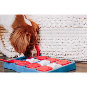 Outward Hound Nina Ottosson Brick Game for Dogs (Blue Level 2 Intermediate) | For Medium Chewers