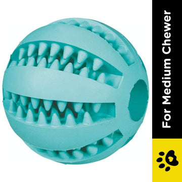 Trixie Denta Fun Ball Mint Flavour Natural Rubber Toy for Dogs | For Medium Chewers