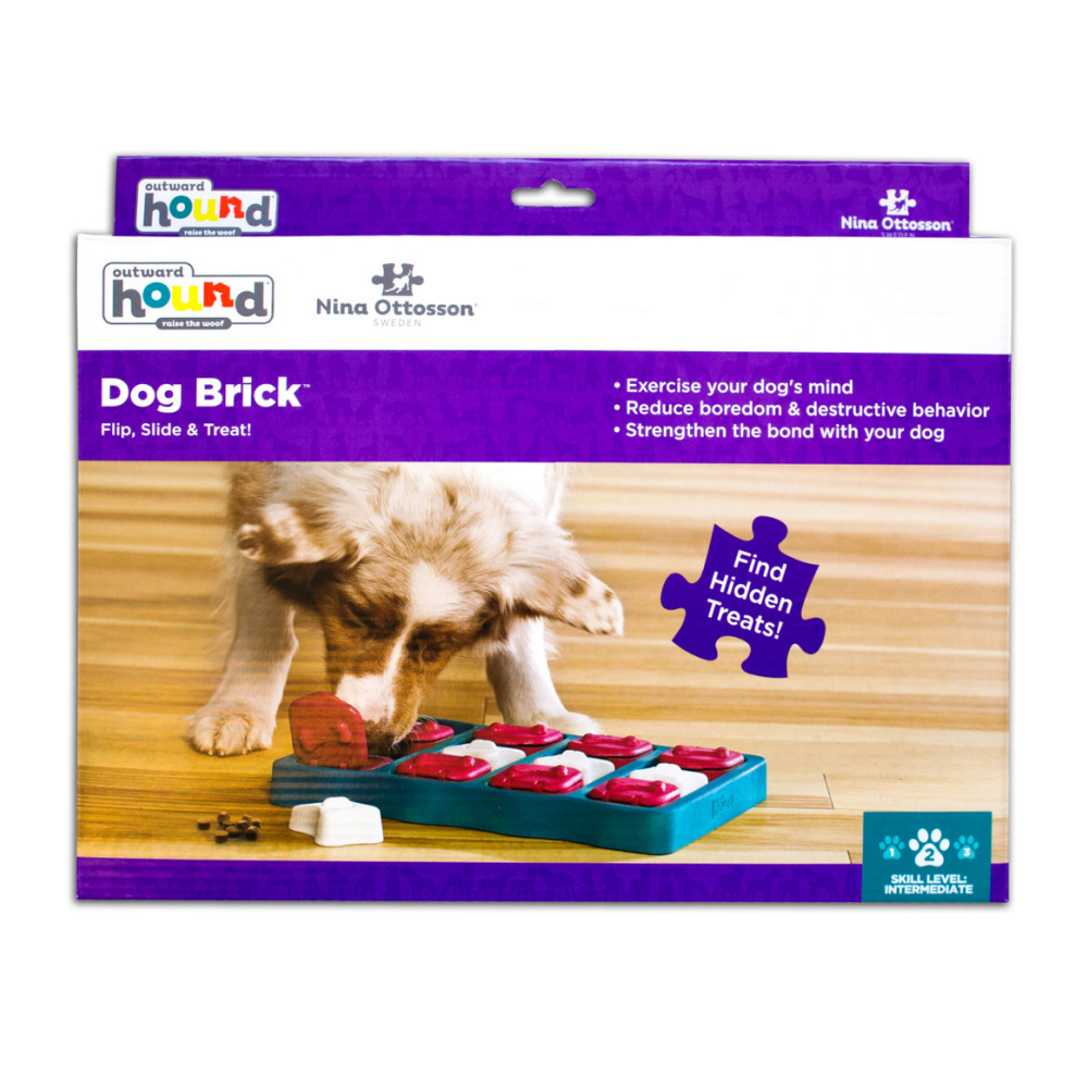 Outward Hound Nina Ottosson Brick Game for Dogs (Blue Level 2 Intermediate) | For Medium Chewers