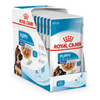 Royal Canin Maxi Puppy Dog Wet Food Dogs-Wet Food Royal Canin