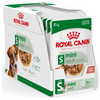 Royal Canin Mini Adult Dog Wet Food Dogs-Wet Food Royal Canin 36x85g