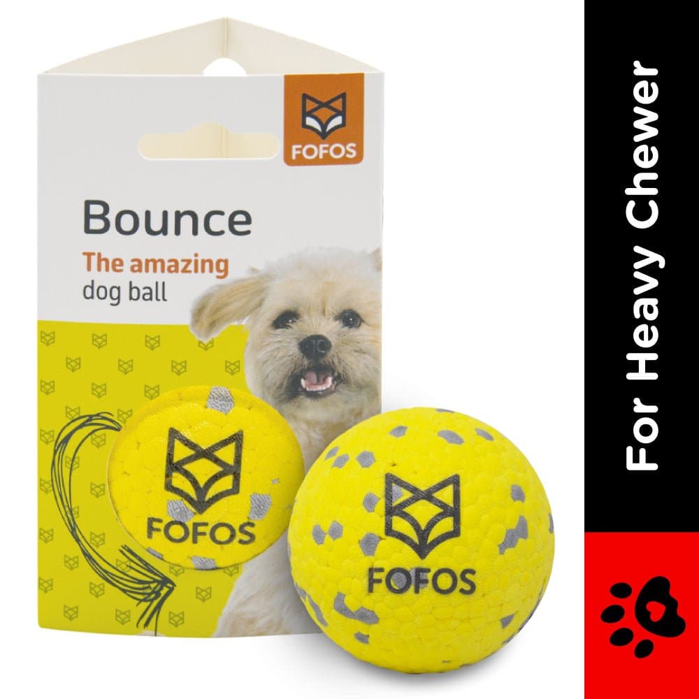 Fofos Super Bounce Chew Ball and Pet Vogue Pet Grooming Comb for Dogs Combo