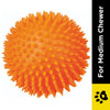 Trixie Hedgehog Ball Vinyl Toy for Dogs (Orange) Dogs-Toys Trixie