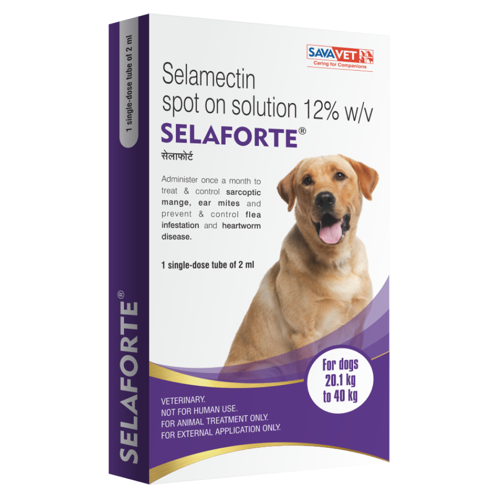 Savavet Selaforte Dog Tick and Flea Control Spot On