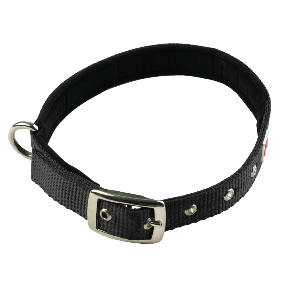 TopDog Premium Nylon Collar and Leash Set for Dogs (Black) Dogs-Collar, Leashes, harnesses TopDog Premium Dropship