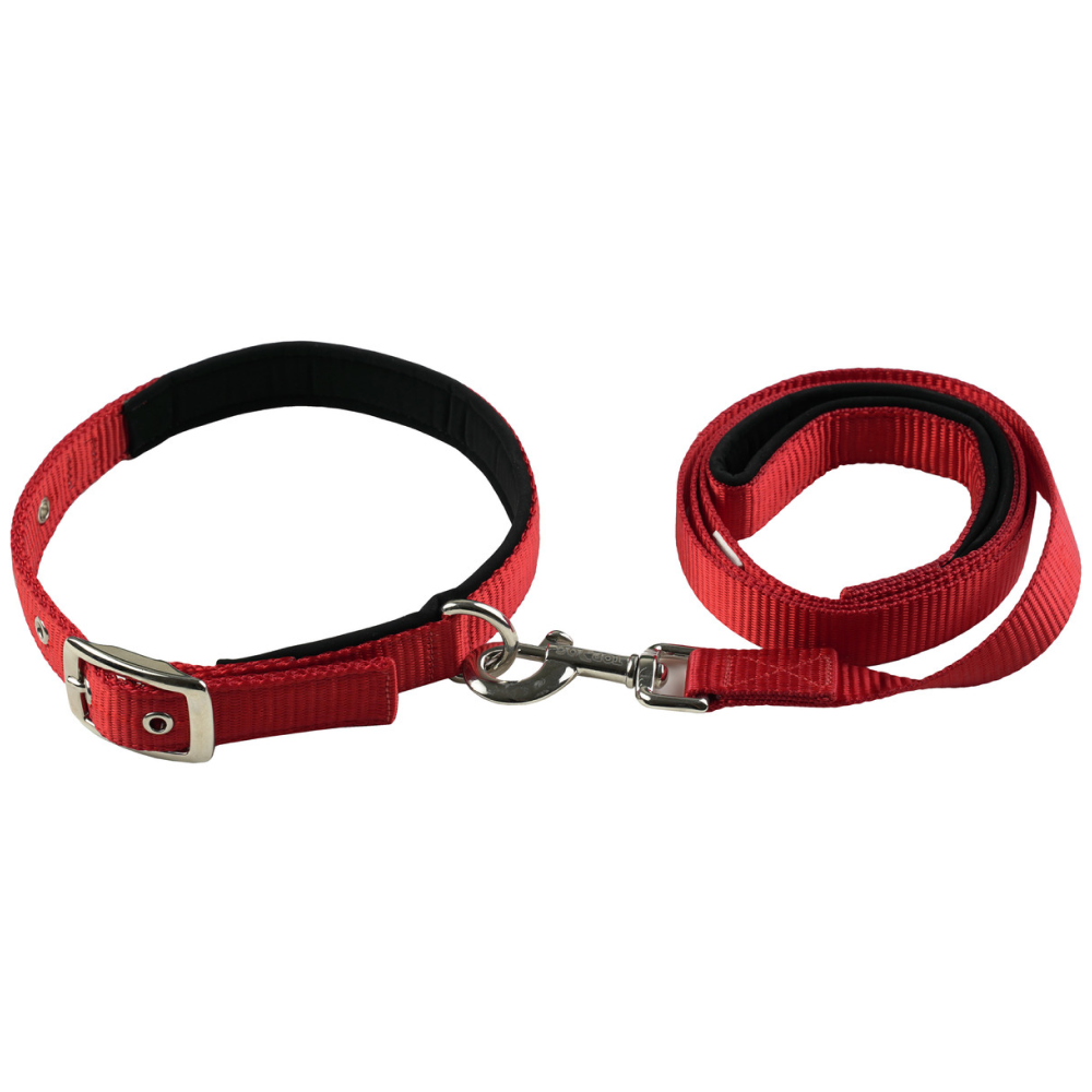 TopDog Premium Nylon Collar and Leash Set for Dogs (Red) Dogs-Collar, Leashes, harnesses TopDog Premium Dropship L:17-22 in Neck