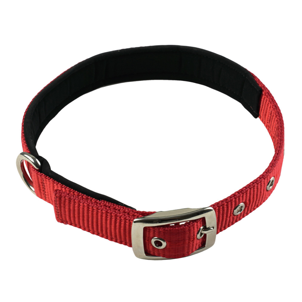 TopDog Premium Nylon Collar and Leash Set for Dogs (Red) Dogs-Collar, Leashes, harnesses TopDog Premium Dropship