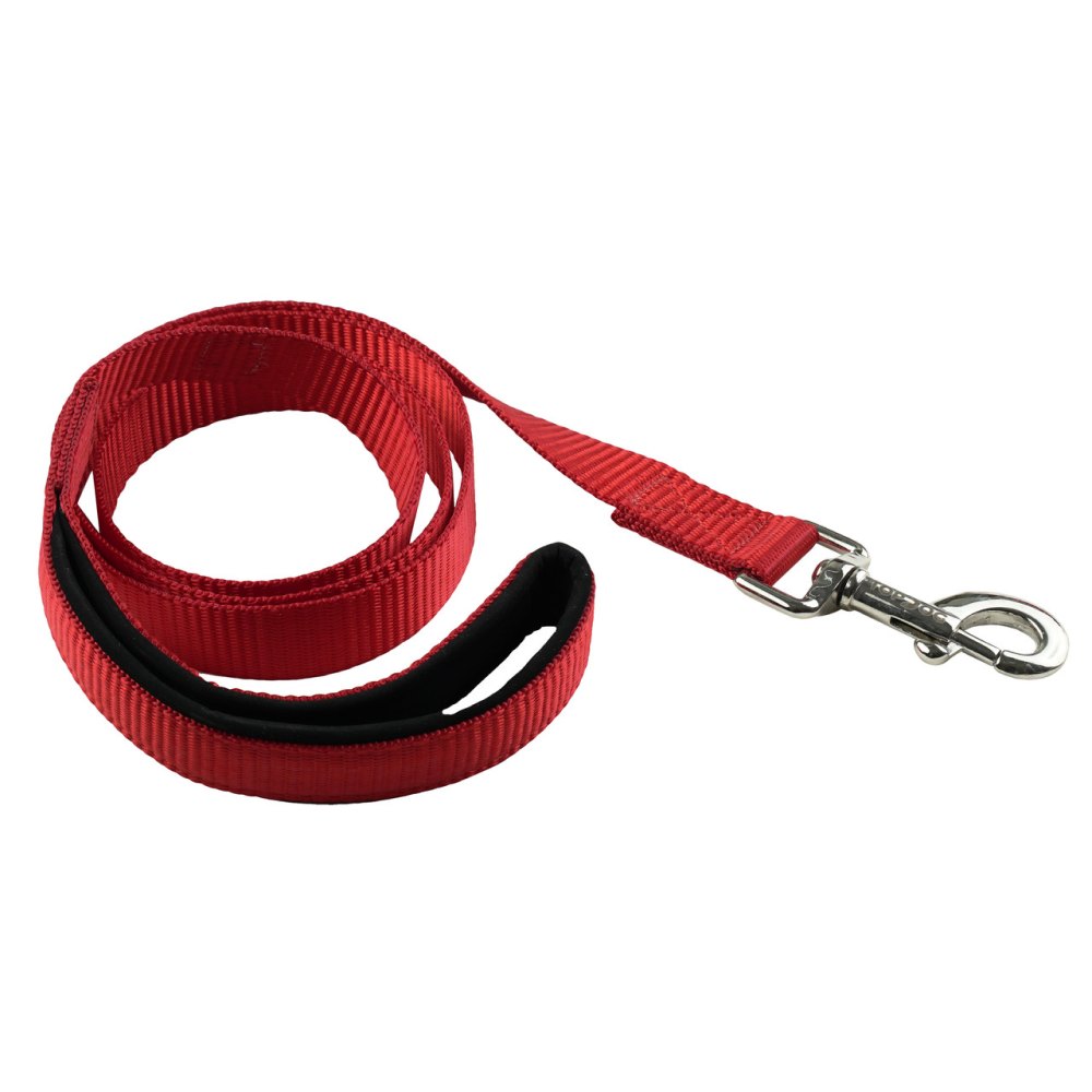 TopDog Premium Nylon Collar and Leash Set for Dogs (Red) Dogs-Collar, Leashes, harnesses TopDog Premium Dropship