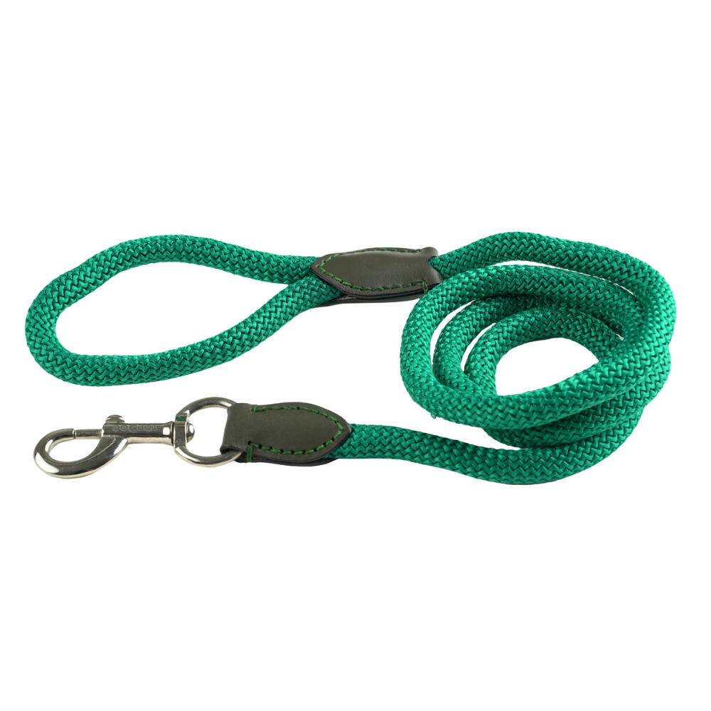 TopDog Premium Nylon Rope Leash for Dogs (Teal Green) Dogs-Collar, Leashes, harnesses TopDog Premium Dropship L:5ft Length