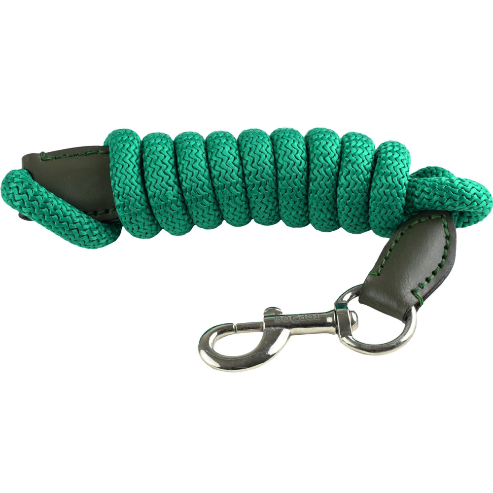 TopDog Premium Nylon Rope Leash for Dogs (Teal Green)