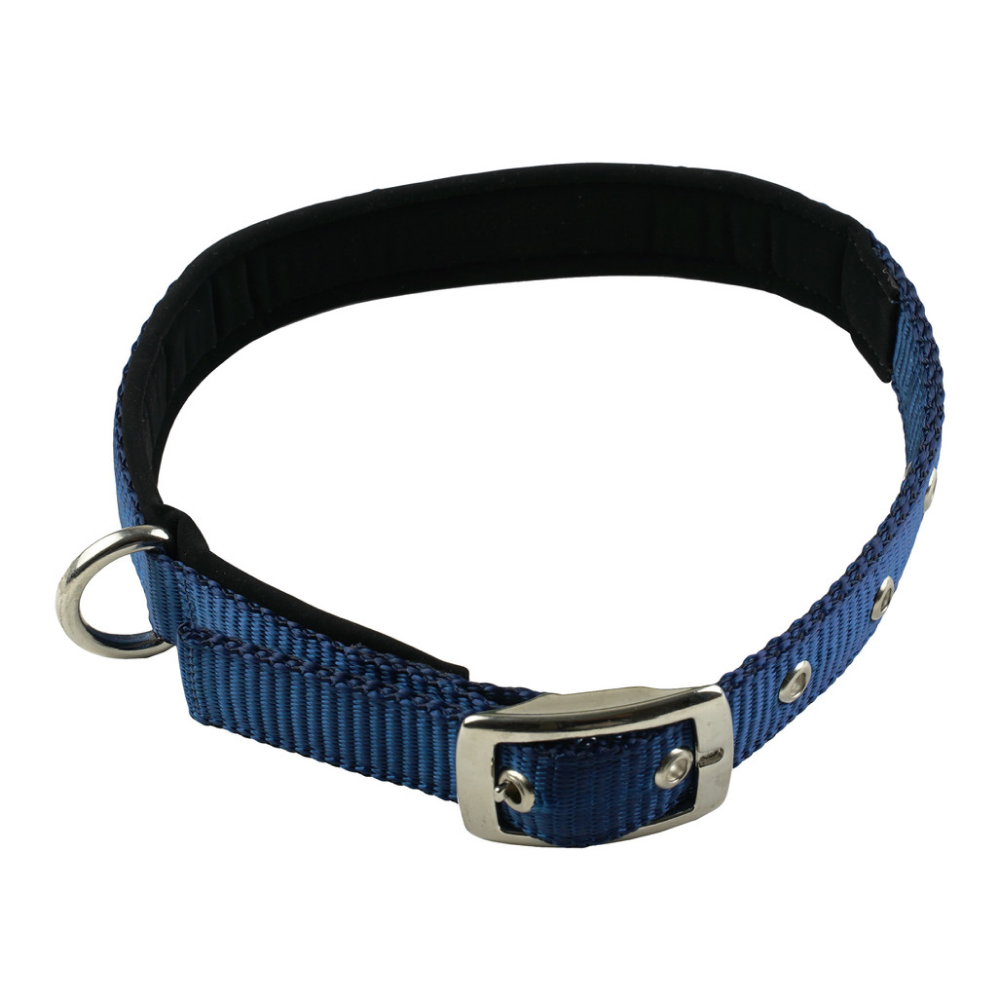 TopDog Premium Nylon Collar and Leash Set for Dogs (Blue) Dogs-Collar, Leashes, harnesses TopDog Premium Dropship