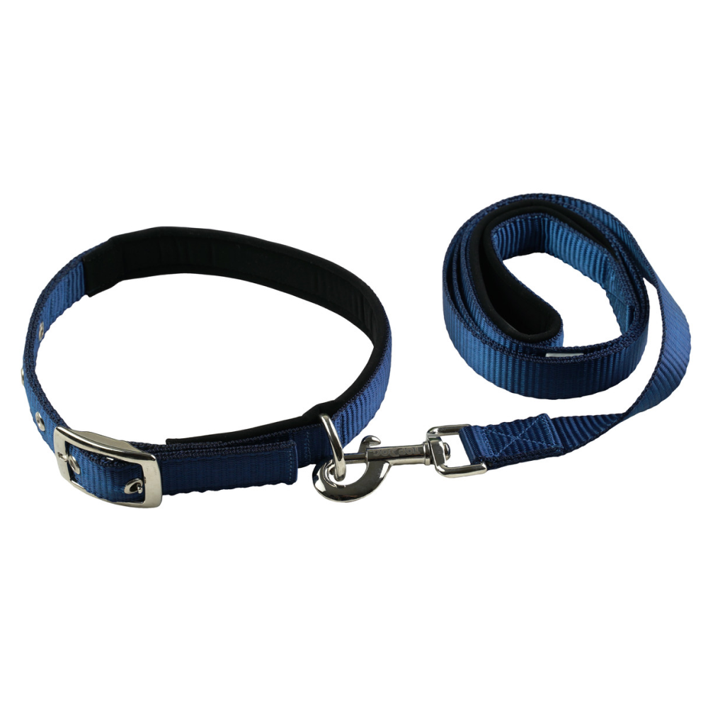 TopDog Premium Nylon Collar and Leash Set for Dogs (Blue) Dogs-Collar, Leashes, harnesses TopDog Premium Dropship L:17-22 in Neck