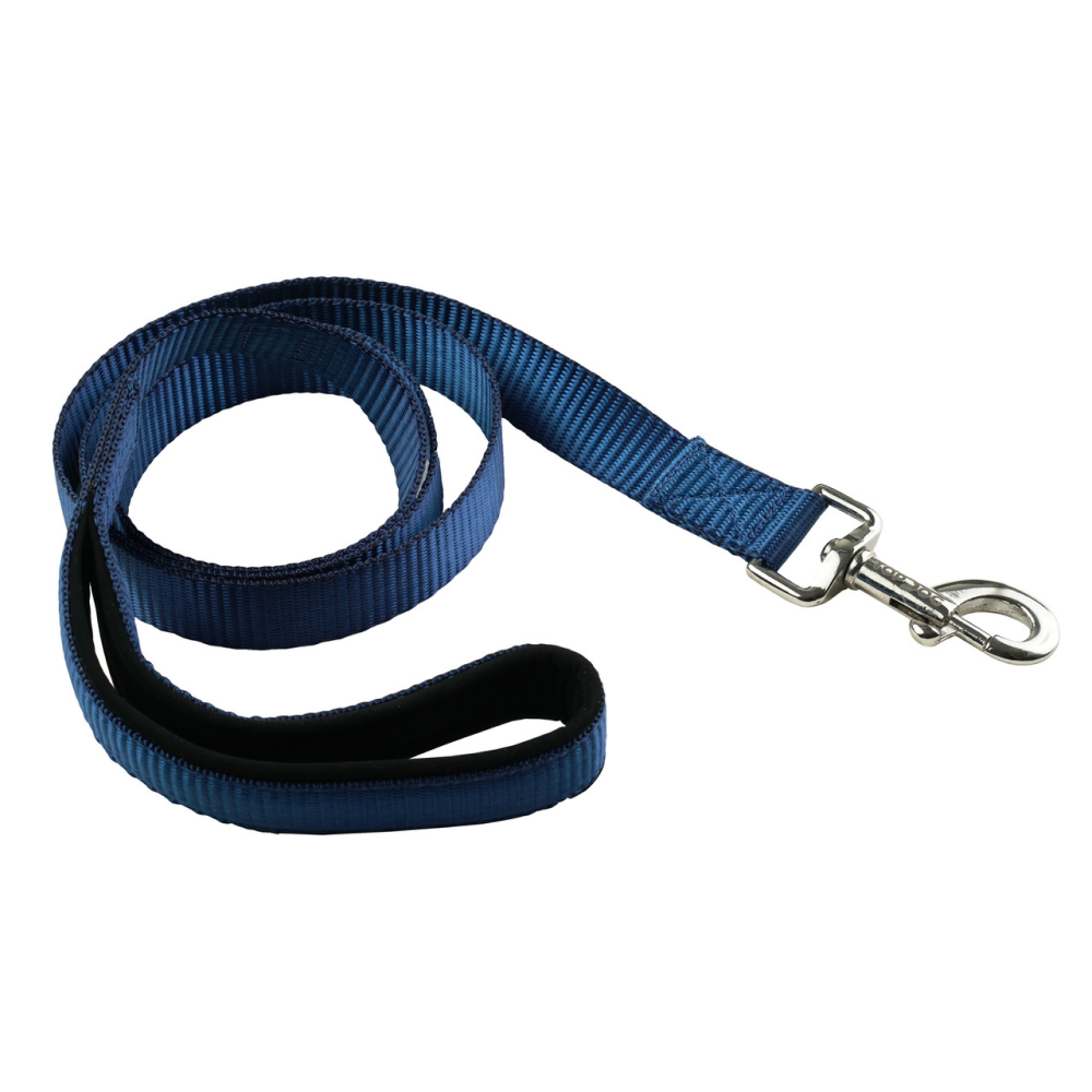 TopDog Premium Nylon Collar and Leash Set for Dogs (Blue)