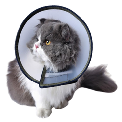 Pets Like Elizabethan Collar for Cats