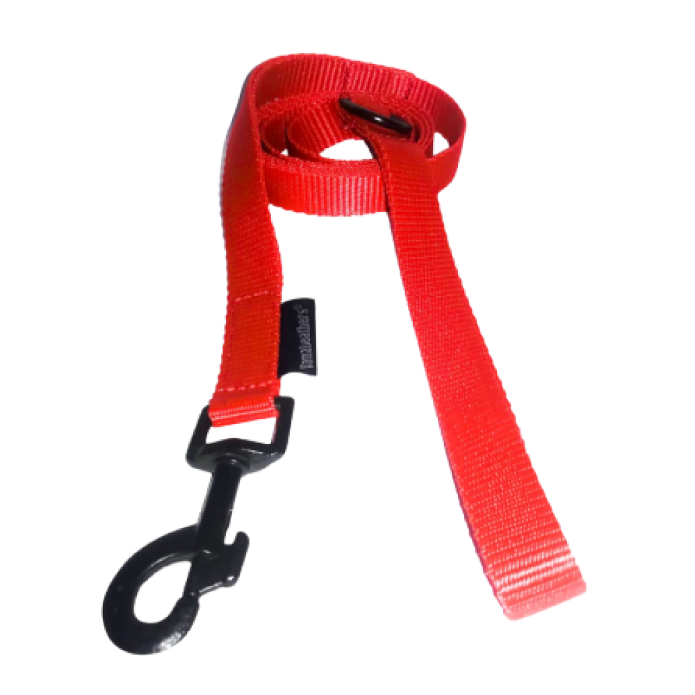 Vama Leathers Super Strong & Durable Nylon Leash for Dogs (Racing Red)